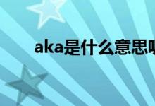 aka是什么意思呢（aka是什么意思）