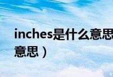 inches是什么意思中文翻译（inches是什么意思）