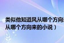 类似他知道风从哪个方向来的小说推荐贴吧（类似他知道风从哪个方向来的小说）