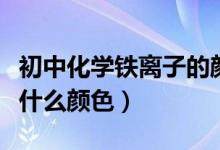 初中化学铁离子的颜色（初中化学中金属铁是什么颜色）