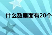 什么数里面有20个1（20个1的数是什么）