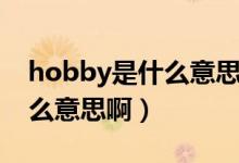 hobby是什么意思翻译成英语（hobby是什么意思啊）