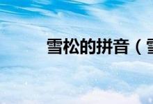 雪松的拼音（雪松的拼音怎么读）