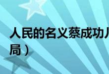 人民的名义蔡成功儿子（人民的名义蔡成功结局）