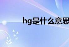 hg是什么意思（hg是什么意思）