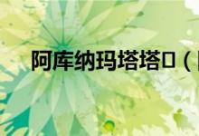 阿库纳玛塔塔（阿库纳玛塔塔什么梗）