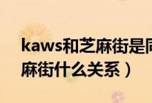 kaws和芝麻街是同一个东西吗（kaws和芝麻街什么关系）