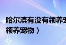 哈尔滨有没有领养宠物的地方（哈尔滨哪儿能领养宠物）