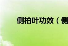 侧柏叶功效（侧柏叶的功效是什么）