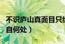 不识庐山真面目只缘身在此山中什么意思（出自何处）