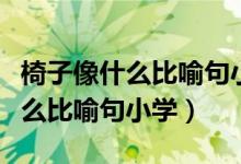 椅子像什么比喻句小学二年级上册（椅子像什么比喻句小学）