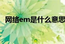 网络em是什么意思（网络em是什么意思）