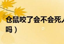 仓鼠咬了会不会死人（仓鼠咬了人三天就会死吗）