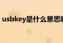 usbkey是什么意思啊（usbkey是什么意思）