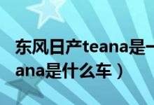 东风日产teana是一款什么车型（东风日产teana是什么车）