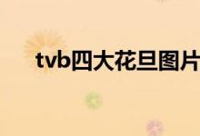 tvb四大花旦图片（tvb四大花旦是谁）