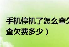 手机停机了怎么查欠费金额（手机停机了怎么查欠费多少）