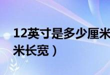 12英寸是多少厘米的盘子（12英寸是多少厘米长宽）