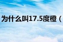 为什么叫17.5度橙（17.5度橙子是什么意思）