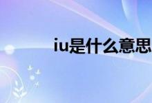 iu是什么意思（IU是什么意思）