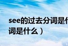 see的过去分词是什么怎么读（see的过去分词是什么）