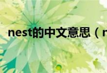 nest的中文意思（nest的中文意思是什么）