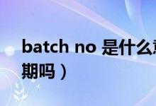 batch no 是什么意思（batch no是生产日期吗）