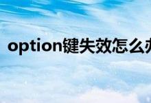 option键失效怎么办（option键是哪个键）