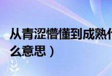 从青涩懵懂到成熟什么意思（从青涩到年华什么意思）