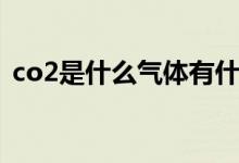 co2是什么气体有什么用（co2是什么气体）