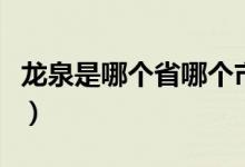 龙泉是哪个省哪个市（龙泉是哪个省哪个地区）