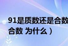 91是质数还是合数说明理由（91是质数还是合数 为什么）