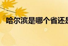 哈尔滨是哪个省还是市（哈尔滨是哪个省）