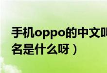 手机oppo的中文叫什么（手机OPPO的中文名是什么呀）