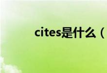 cites是什么（cites是什么意思）