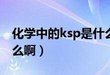 化学中的ksp是什么意思（化学中的Ksp是什么啊）