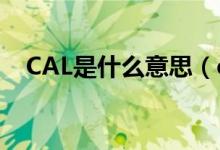 CAL是什么意思（cal是什么意思跑步机）