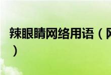 辣眼睛网络用语（网络词语辣眼睛是什么意思）