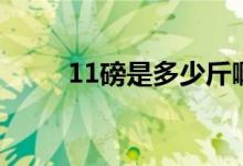 11磅是多少斤啊（11磅是多少斤）