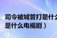 司令被城管打是什么电视剧（陆国明被城管打是什么电视剧）