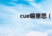 cue嘛意思（cue一下啥意思）