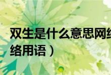 双生是什么意思网络用语（双生是什么意思网络用语）