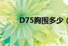 D75胸围多少（d75胸围多少cm）