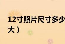 12寸照片尺寸多少合适（12寸照片尺寸有多大）