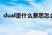 dual是什么意思怎么读（dual是什么意思）