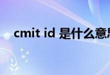 cmit id 是什么意思（cmit id什么意思）