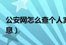 公安网怎么查个人案底（公安网怎么查个人信息）