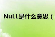 NuLL是什么意思（null什么意思是什么梗）