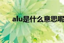 alu是什么意思呢（alu是什么的简称）