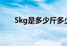 5kg是多少斤多少两（5kg是多少斤）